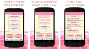 Kalkulator Kehamilan Pro
