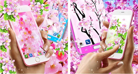 Sakura Flowers Live Wallpaper