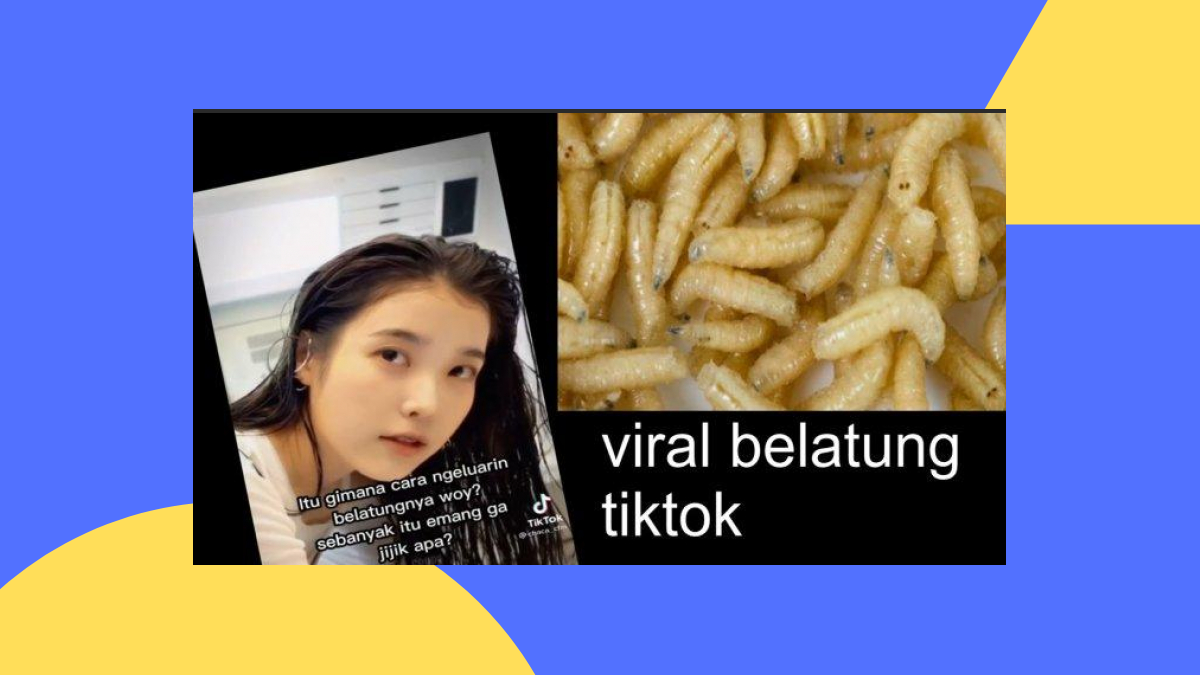 Video Belatung Viral TikTok, Yuk Cari Tahu Informasinya