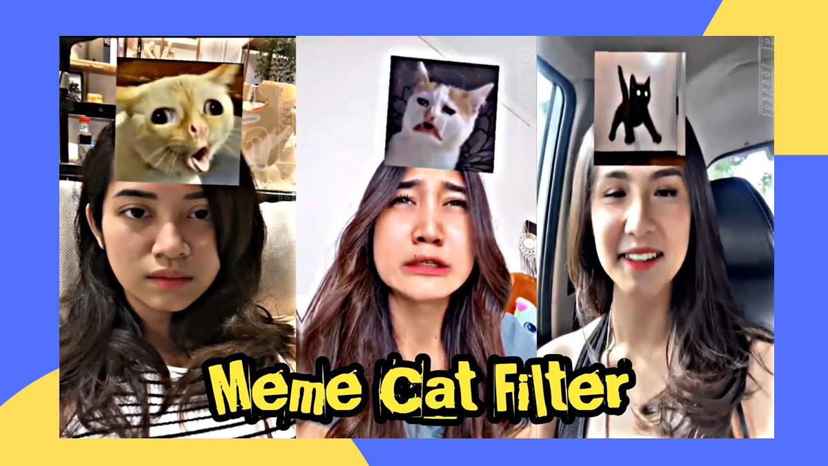 Filter IG Niruin Muka Kucing Terbaru 2022, Yuk Cek Cara Mendapatkannya!