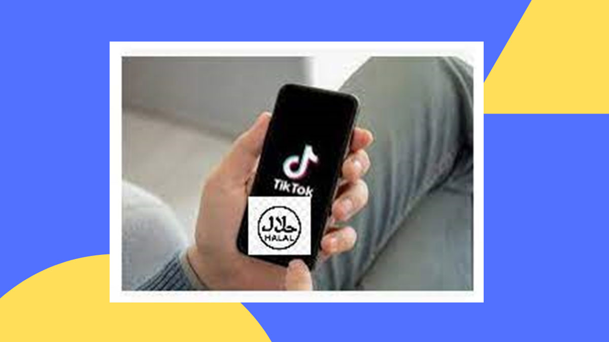 PP Halal TikTok Terbaru Viral, Ini Dia Cara Downloadnya!