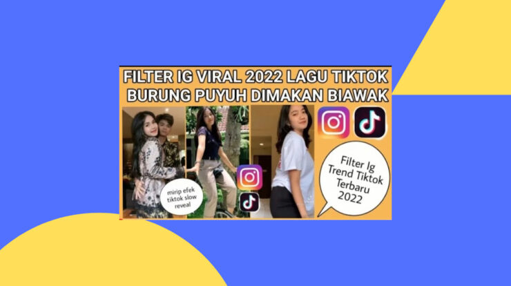 Filter IG Terbaru Burung Puyuh Dimakan Biawak, Begini Cara Mendapatkannya!