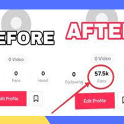 TikTok Followers Gratis 2022, Ini Dia Website nya!