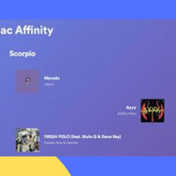 Zodiac Affinity Spotify Link